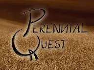 logo Perennial Quest (GER)